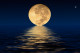 Moonlight's picture